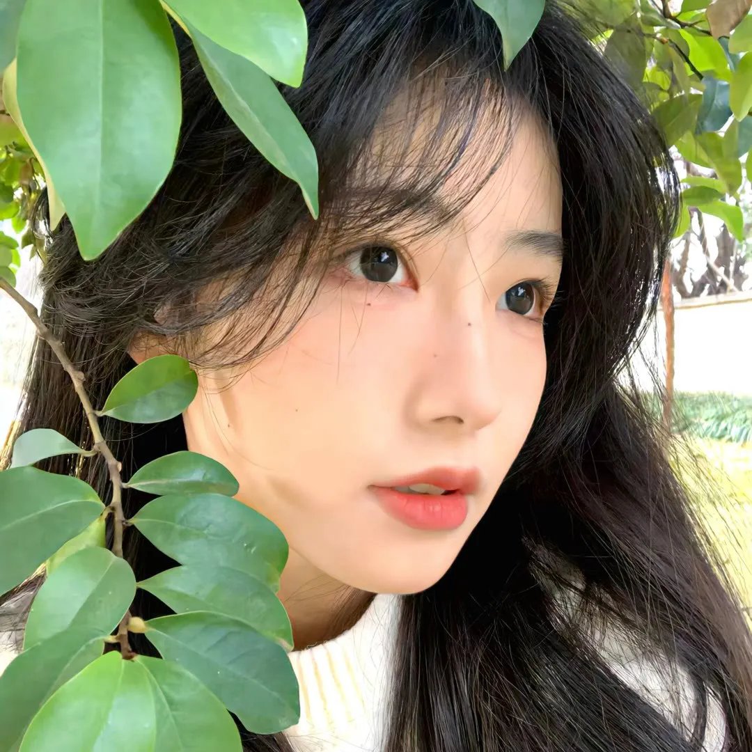 身骄肉贵粤语